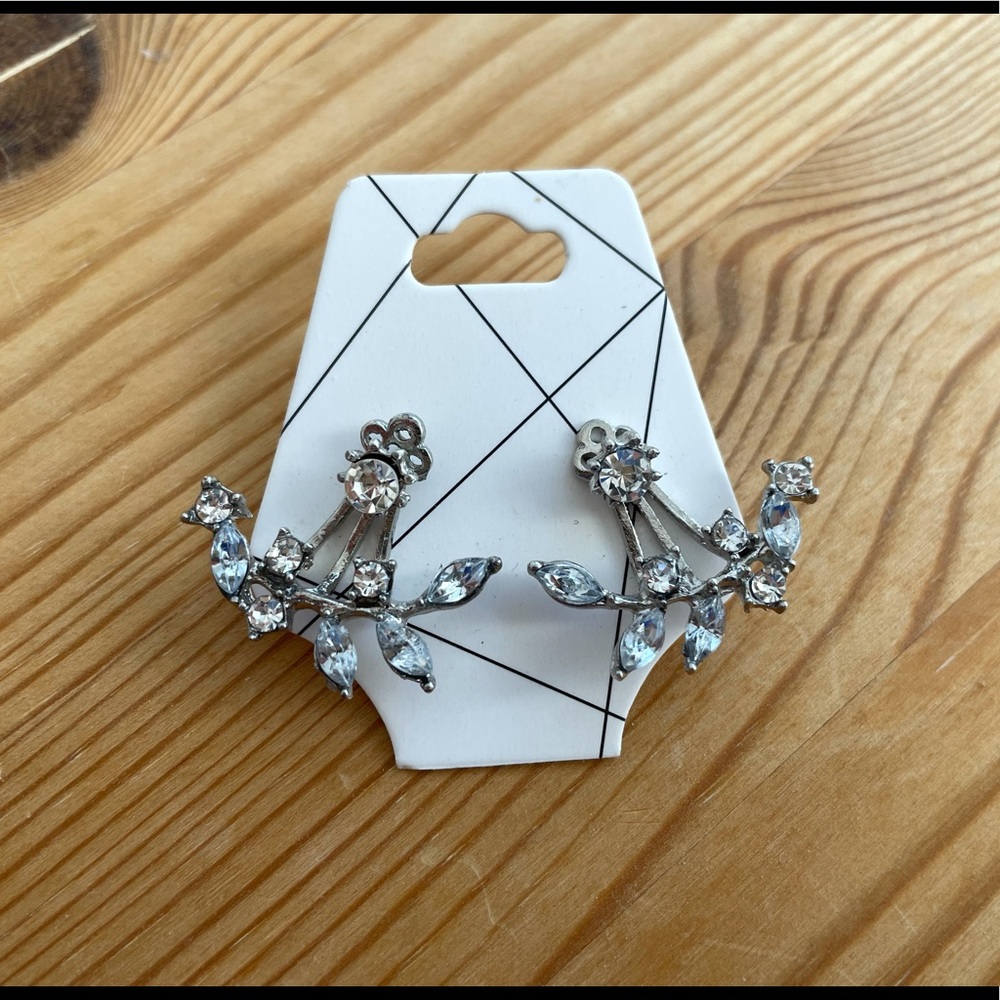 Earrings! - Picture 2 of 5